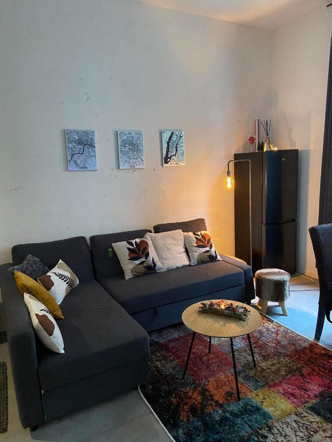 Garden Suite In City Center Anvers Dış mekan fotoğraf